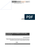 Informe de Formulacion de Proyecto