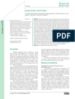 Sugarcane brown rust overview in Cuba