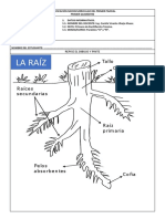 PMC 2 AGROTECNOLOGÍA 2 ENVIO ESTUDIANTES 4