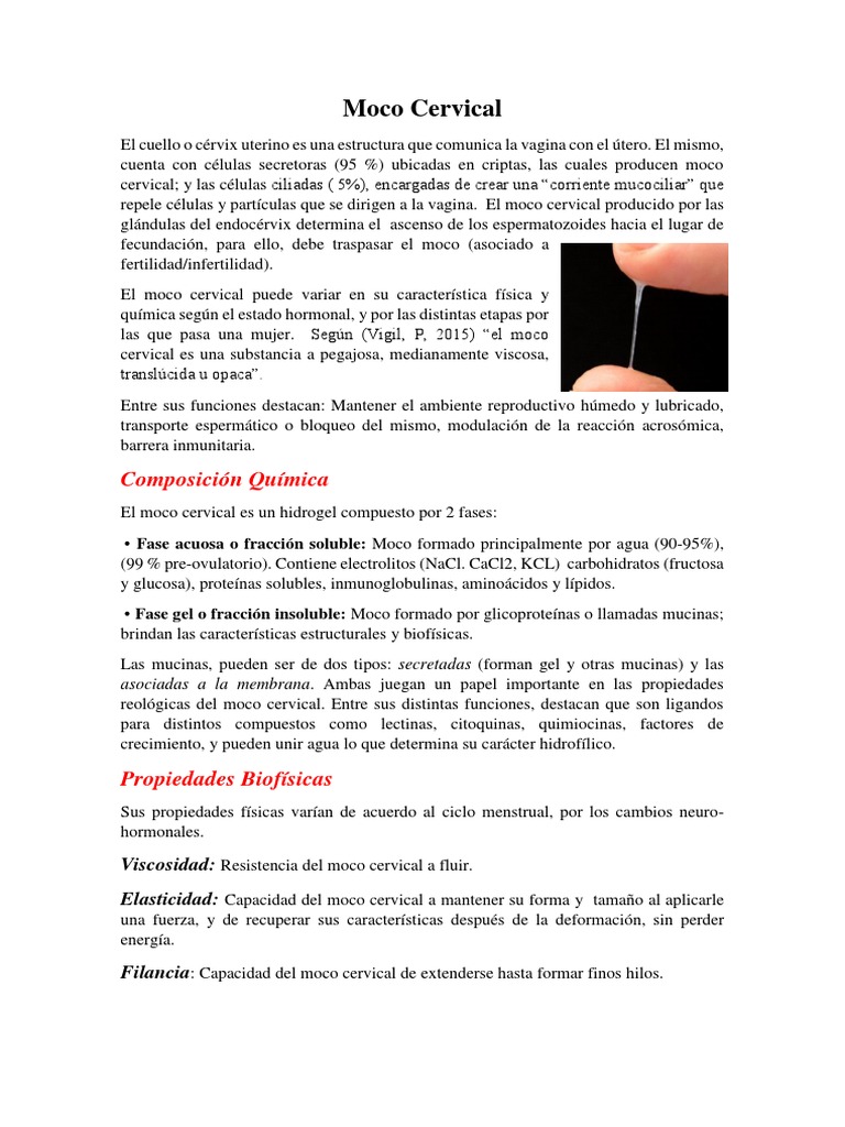 Moco Cervical | PDF