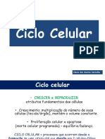 4 - Ciclo Celular