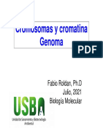 Cromosomas Cromatina Genomas 2130