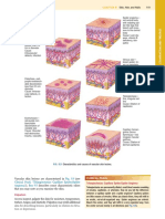 Informe de Laboratorio No1