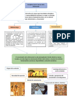 Mapa Conceptual Bliotecologia