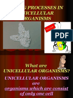 Living Processes in Unicellular Organisms