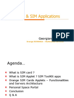 SIM Cards & SIM Applications: Georgian Finichiu