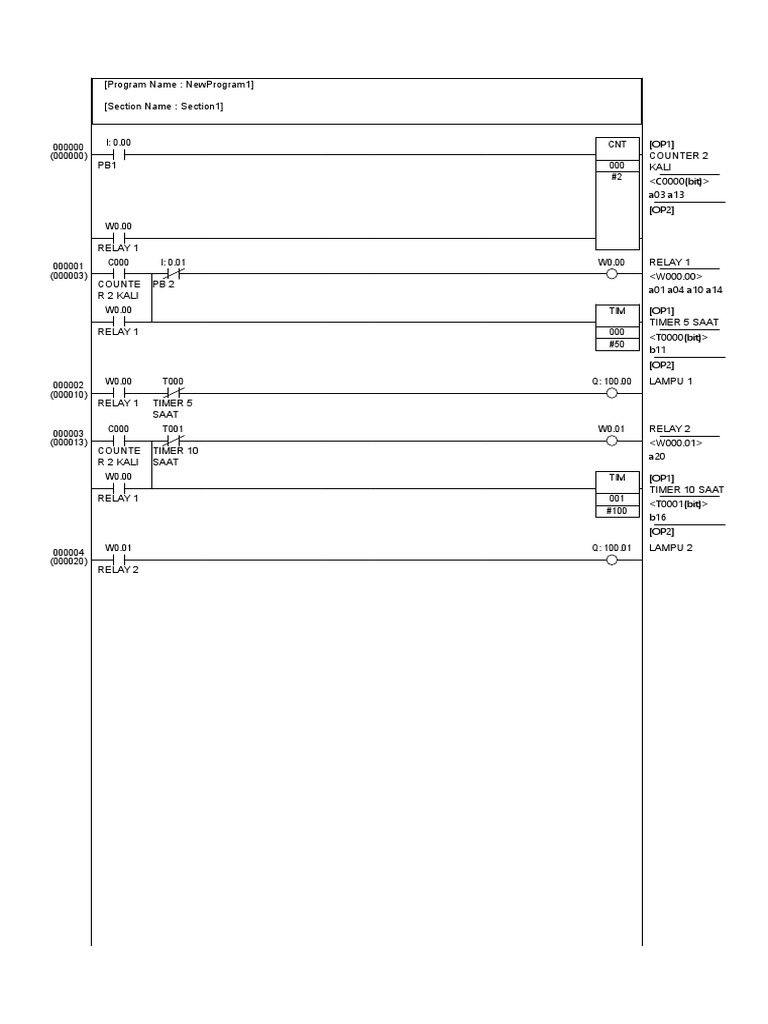 NewProgram1 Timer and Counter Setup | PDF