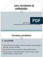 Coronary Circulation & Pathologies: Arif Hussain Demonstrator Anesthesia Ipms-Kmu