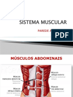 (SM5) Músculos Abdominais OK