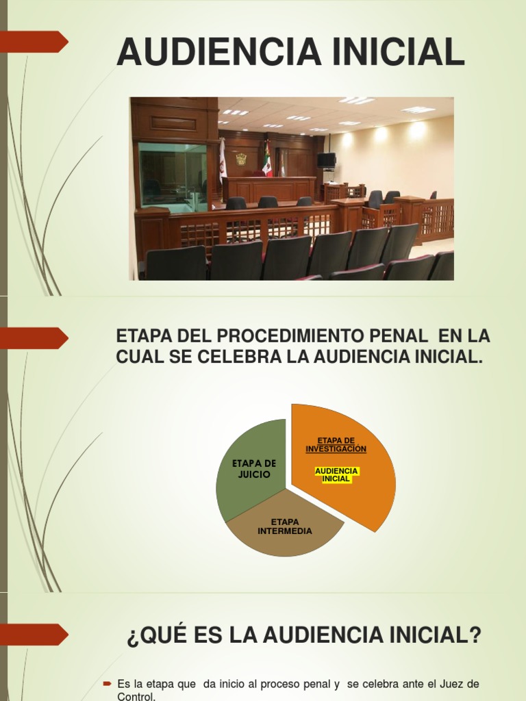 Pasos de la Audiencia Inicial Penal | PDF | Derecho penal ...