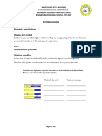 1.2. AUTOEVALUACIÓN Fotoperiodismo y Floración