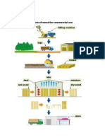 Flow Chart Explains 6 Step Wood Processing Procedure