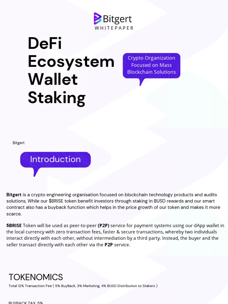 Bitgert $BRISE Tokenomics & Benefits | PDF | Share Repurchase |  Cryptocurrency