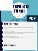 Morfologi Fungi