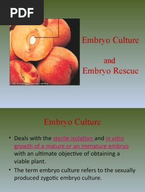 Embryo Rescue Peach