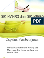 Gizi Makro Dan Gizi Mikro