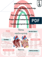 Infografia Sistema Cardiovascular