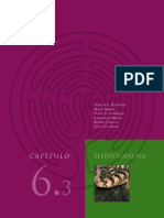 Características e ameaças aos anfíbios e répteis de SP