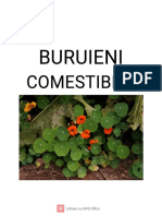 Buruieni Comestibile