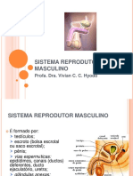 Slide Sistema Reprodutor