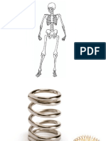 1-Anatomie-du-rachis