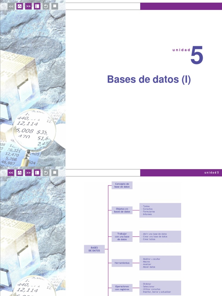 Introducción a Bases de Datos en Access | PDF | Bases de datos ...