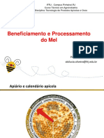 Aula_Beneficiamento e Processamento mel