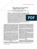 Nerve Pathways Between The Pterygopalatine Ganglion and Eye in Cats