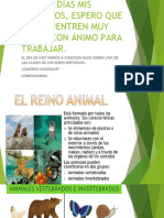 Clasificación de Los Animales - Lunes 7 de Eneros Del 2022