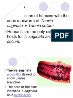 Parasite - T. Solium - T. Saginata
