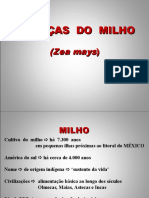 Doenças do milho: identificação e controle