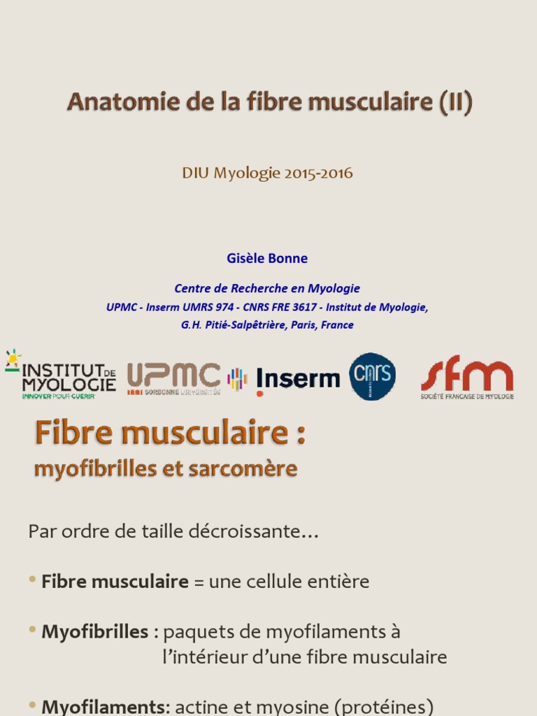 diu-myologie-2015-anat-de-la-fibre-musculaire-2-g-bonne-pdf
