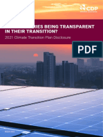 2021 Climate Transition Plan Disclosure 
