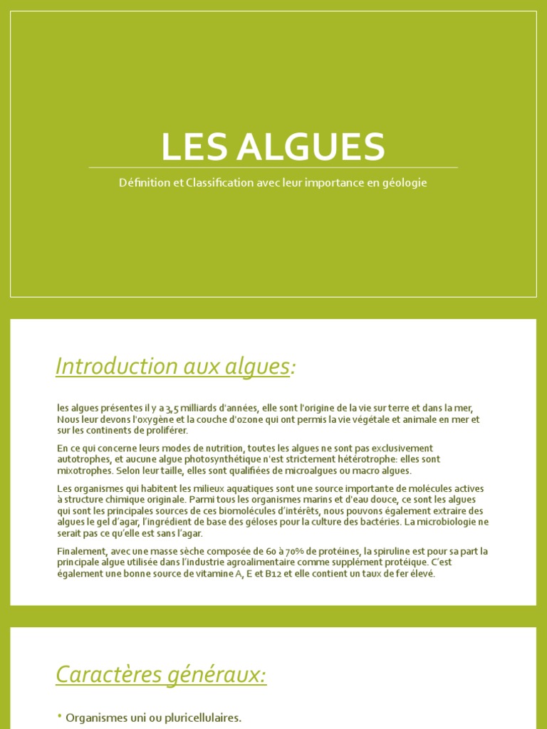Importance et Classification des Algues PDF Algue Photosynthèse — free download