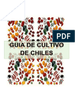 Guía de Cultivo de Chiles