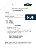 Protocolos de Rehabilitación en Cirugía de Tendones Flexores IST