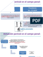 5 Campo penal B (1)