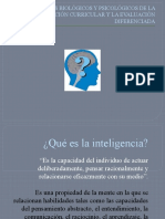 Evaluación Diferenciada