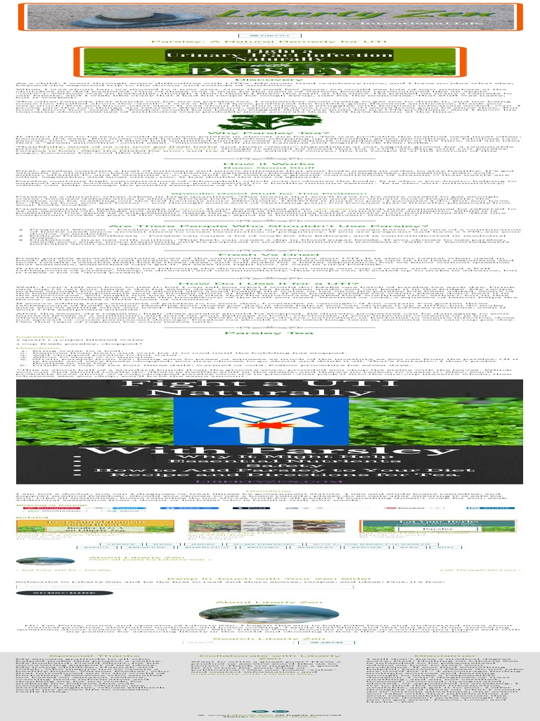 Parsley A Traditional UTI Remedy and A Recipe For Parsley Tea PDF