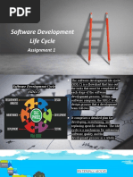 Software Development Life Cycle: Assignment 1