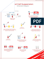 Cell Suspension Schematic Diagram