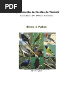 Bicos e Patas