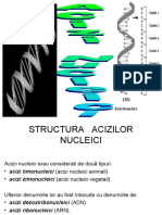 1 acizi nucleici