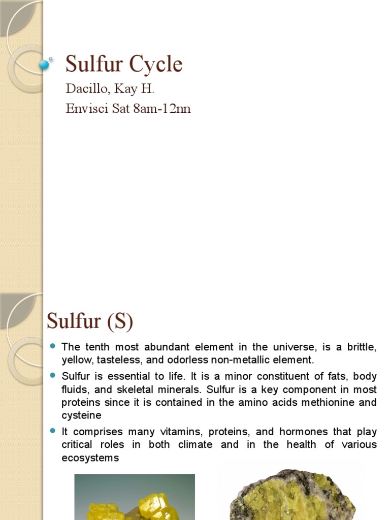 Sulfur Phosphorus Cycle PDF Sulfur Phosphorus