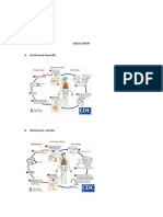 Parasitologi Shinta Dwi Xi-A(25)