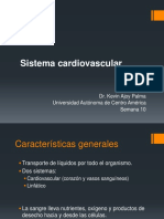 Clase 8. Sistema Cardiovascular