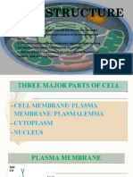 Three major parts of the cell