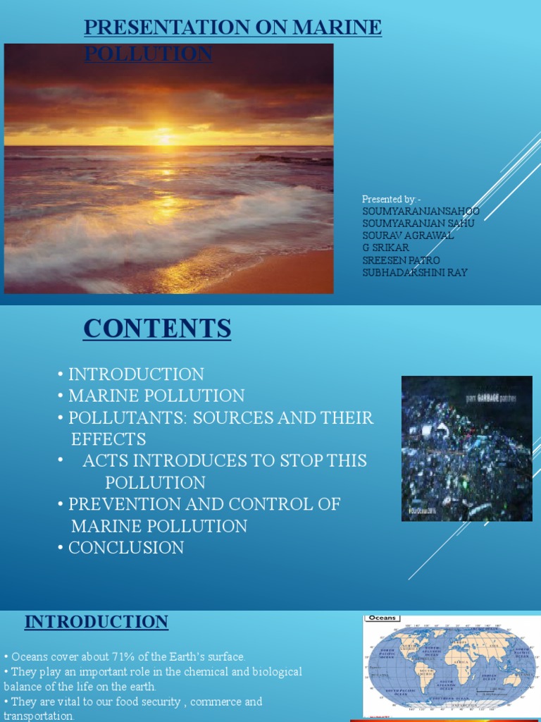 Overview of Marine Pollution Issues | PDF | Sea | Pollution