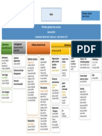 Organigramme