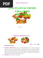 Plantas y Mas Plantas